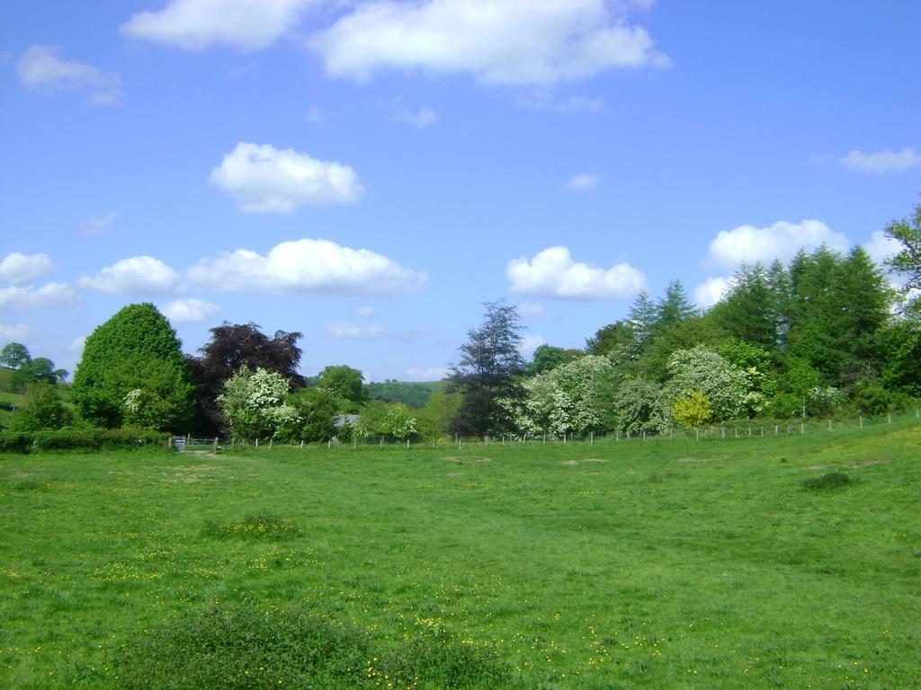 Country house The Forest