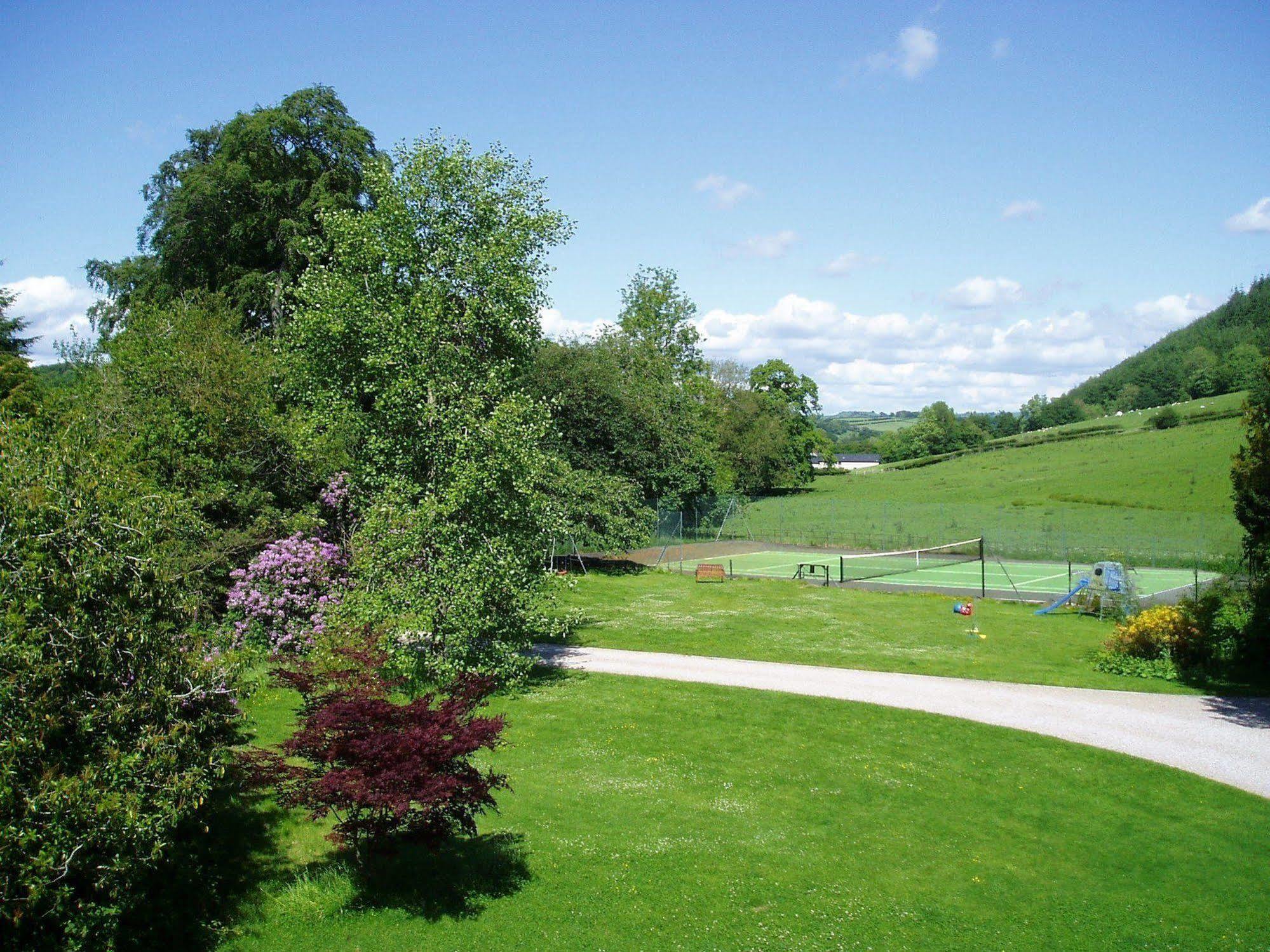 The Forest * Newtown (Powys)