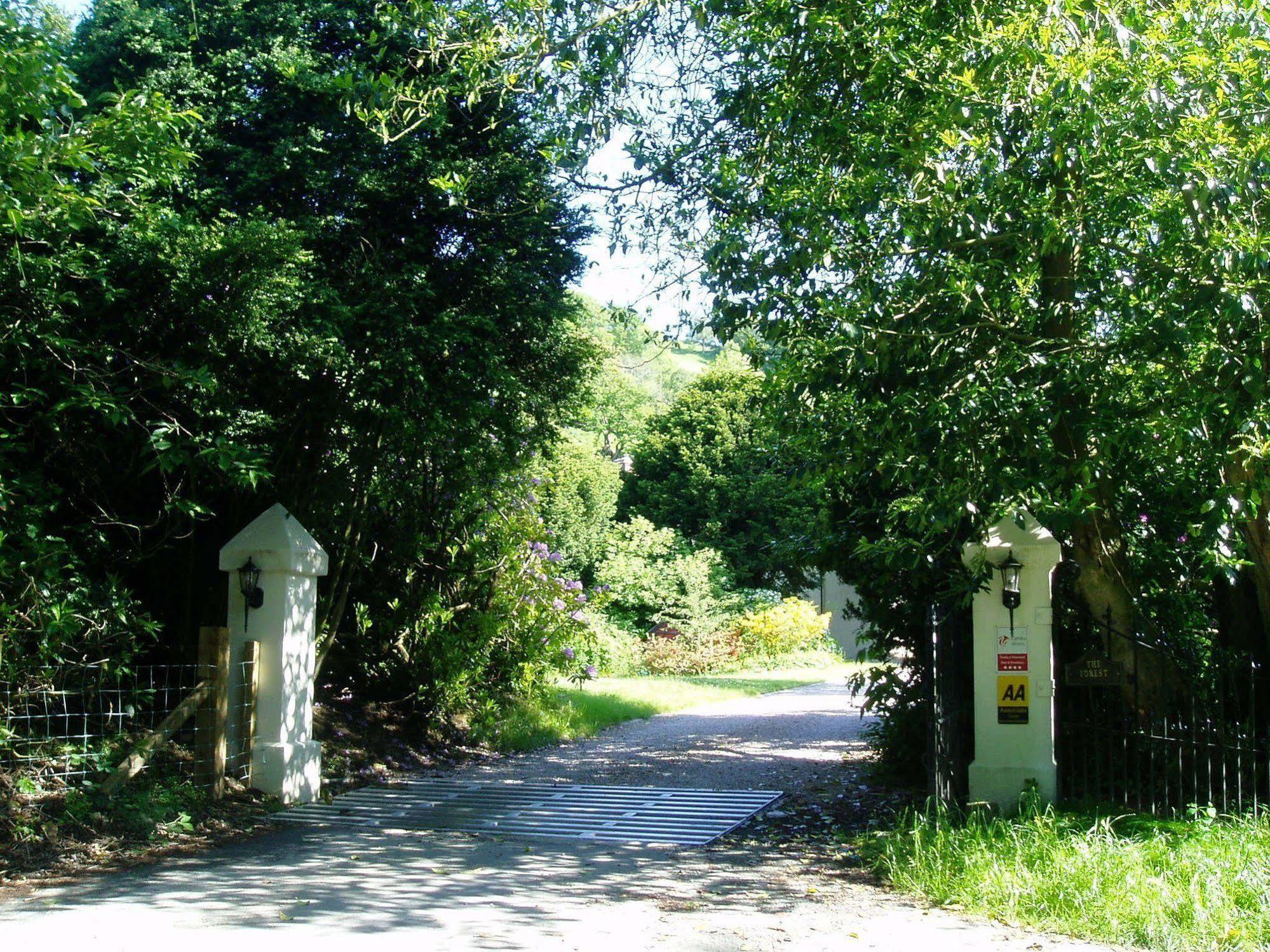 The Forest Casa di campagna *