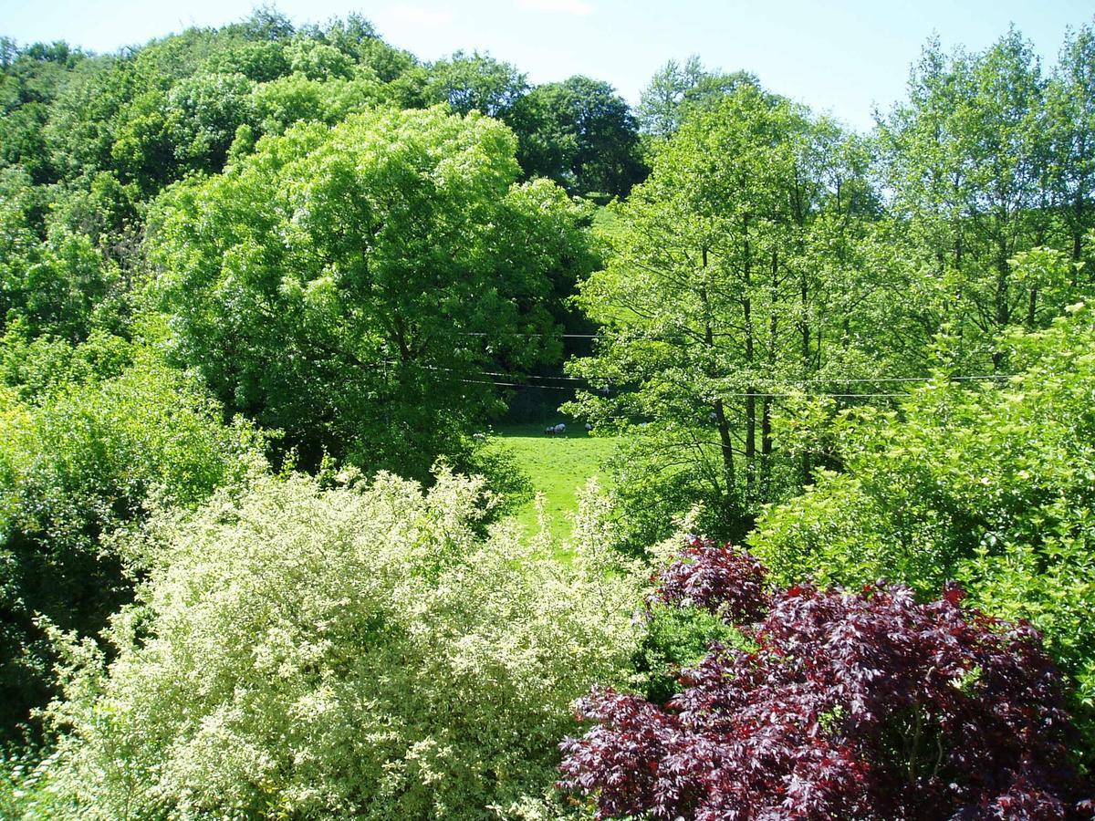 The Forest Newtown (Powys)
